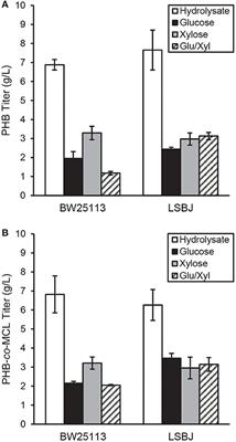 Increased Production of the Value-Added Biopolymers Poly(R-3-Hydroxyalkanoate) and Poly(γ-Glutamic Acid) From Hydrolyzed Paper Recycling Waste Fines